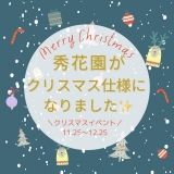 【明日11月29日ラスト1室★】館内がクリスマス仕様になりました♪画像