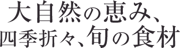 大自然の恵み、四季折々、旬の食材